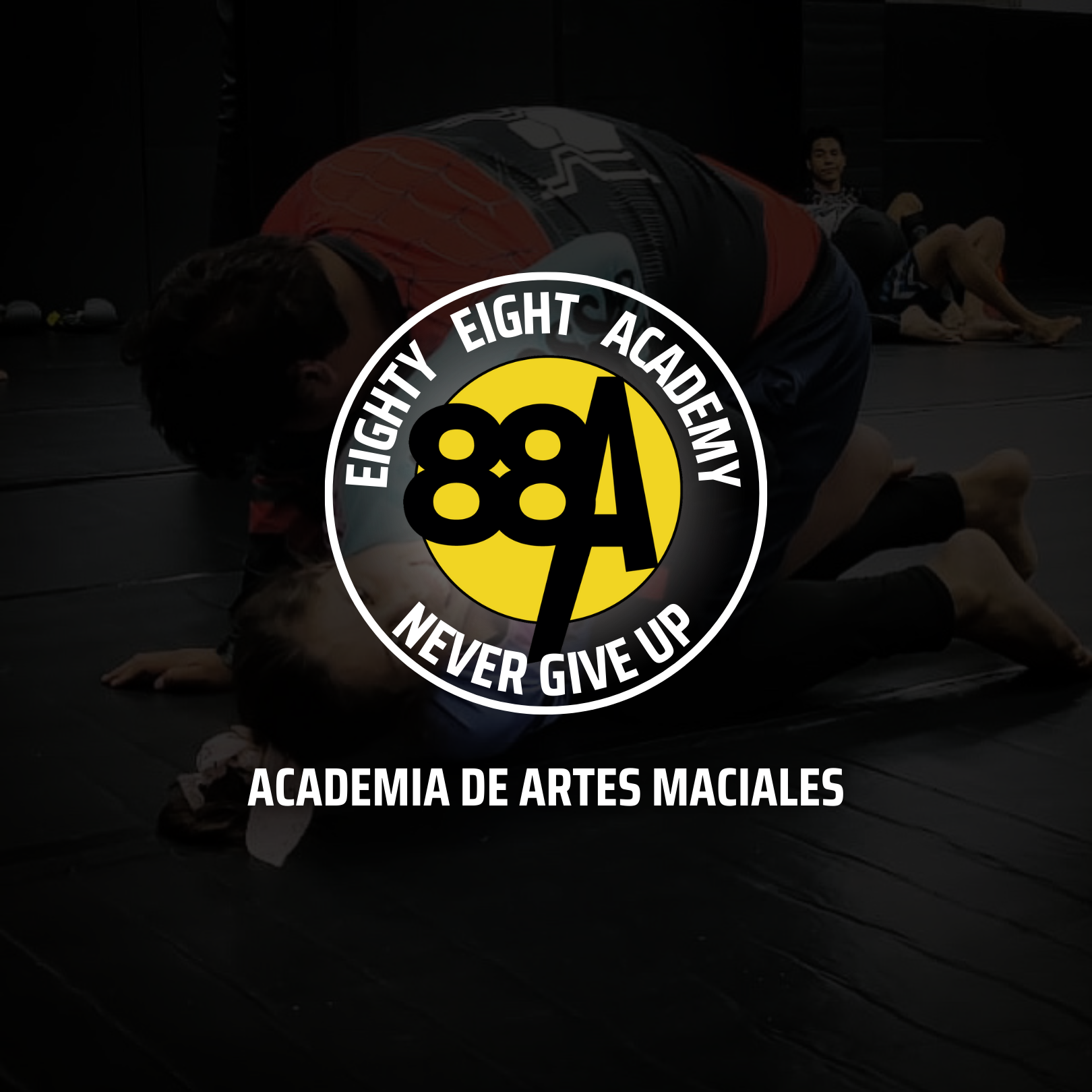 88A Artes Marciales - Academia en Naucalpan, Estado de México - Vista 2 de 5 de las instalaciones de la academia