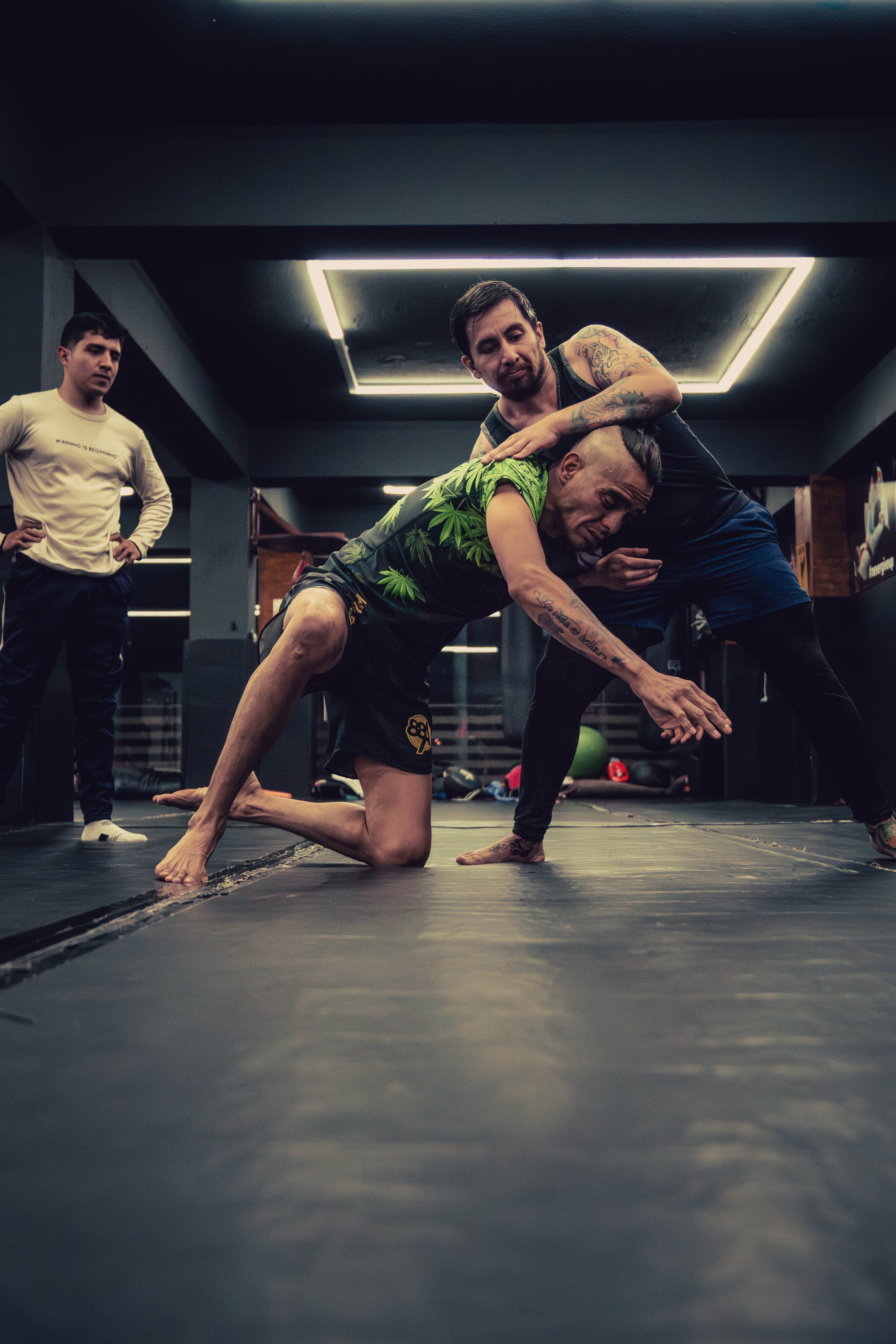 88A Artes Marciales - Academia en Naucalpan, Estado de México - Vista 4 de 5 de las instalaciones de la academia