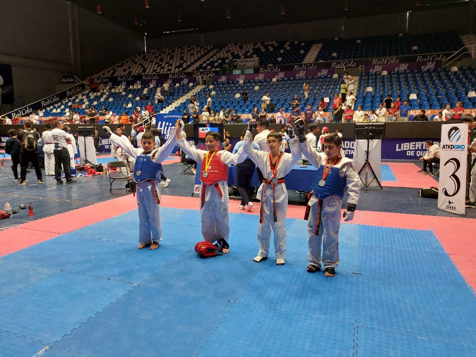 Academia de Formación Iridia Salazar | Taekwondo Centro Sur - Academia en Santiago de Querétaro, Querétaro - Vista 7 de 8 de las instalaciones de la academia