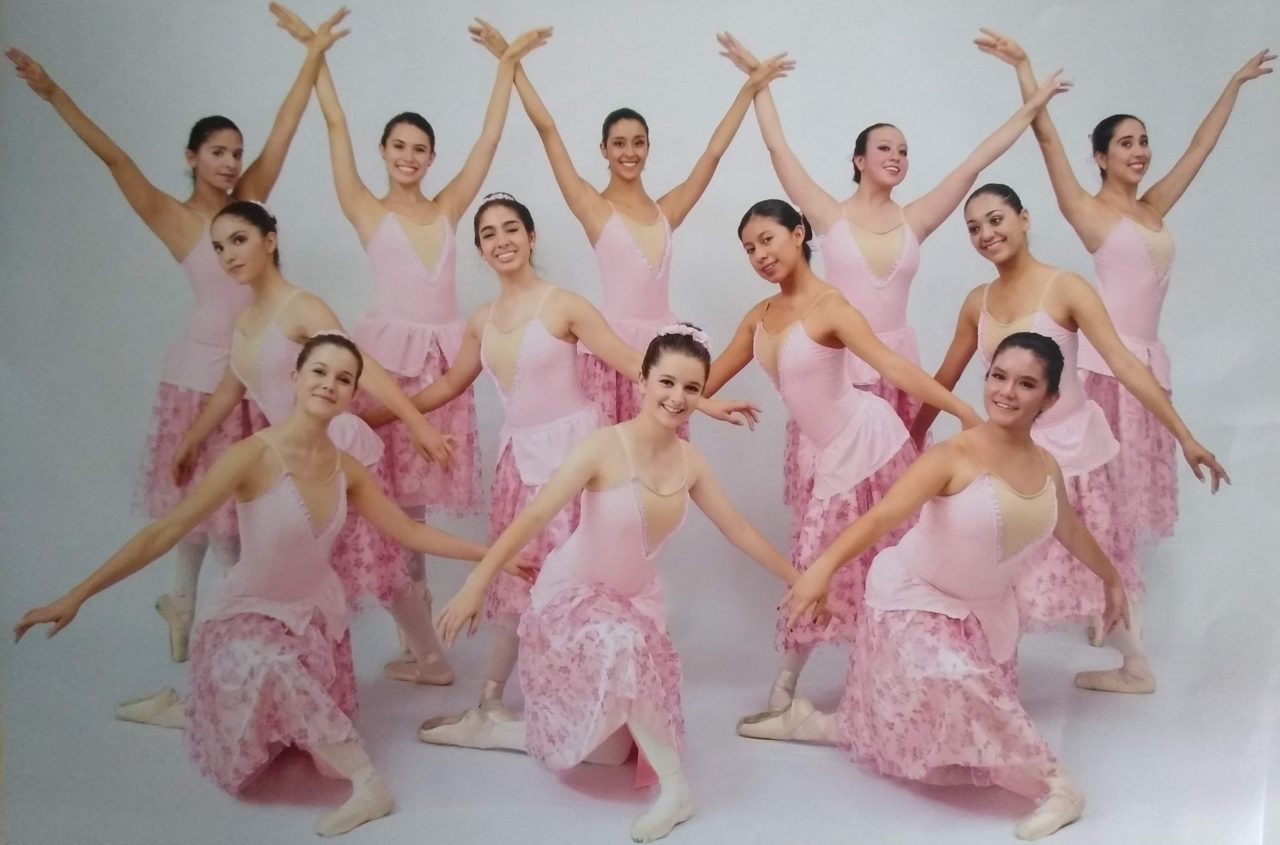 Art Dance Studio - Academia en Santiago de Querétaro, Querétaro - Vista 4 de 8 de las instalaciones de la academia