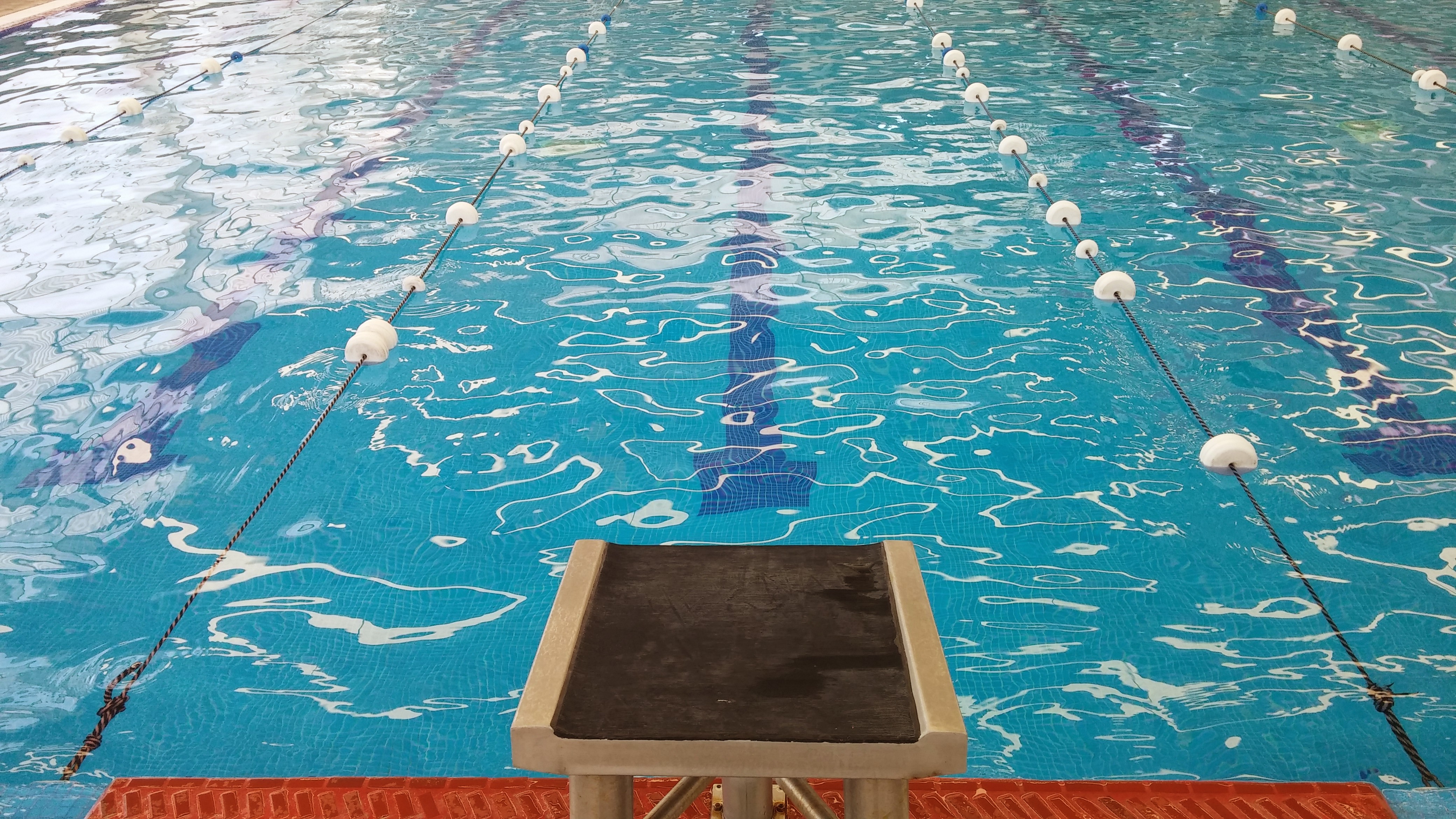 Atlántica Escuela de Natación - Escuela deportiva en Puebla, Puebla - Vista 4 de 6 de las instalaciones de la academia