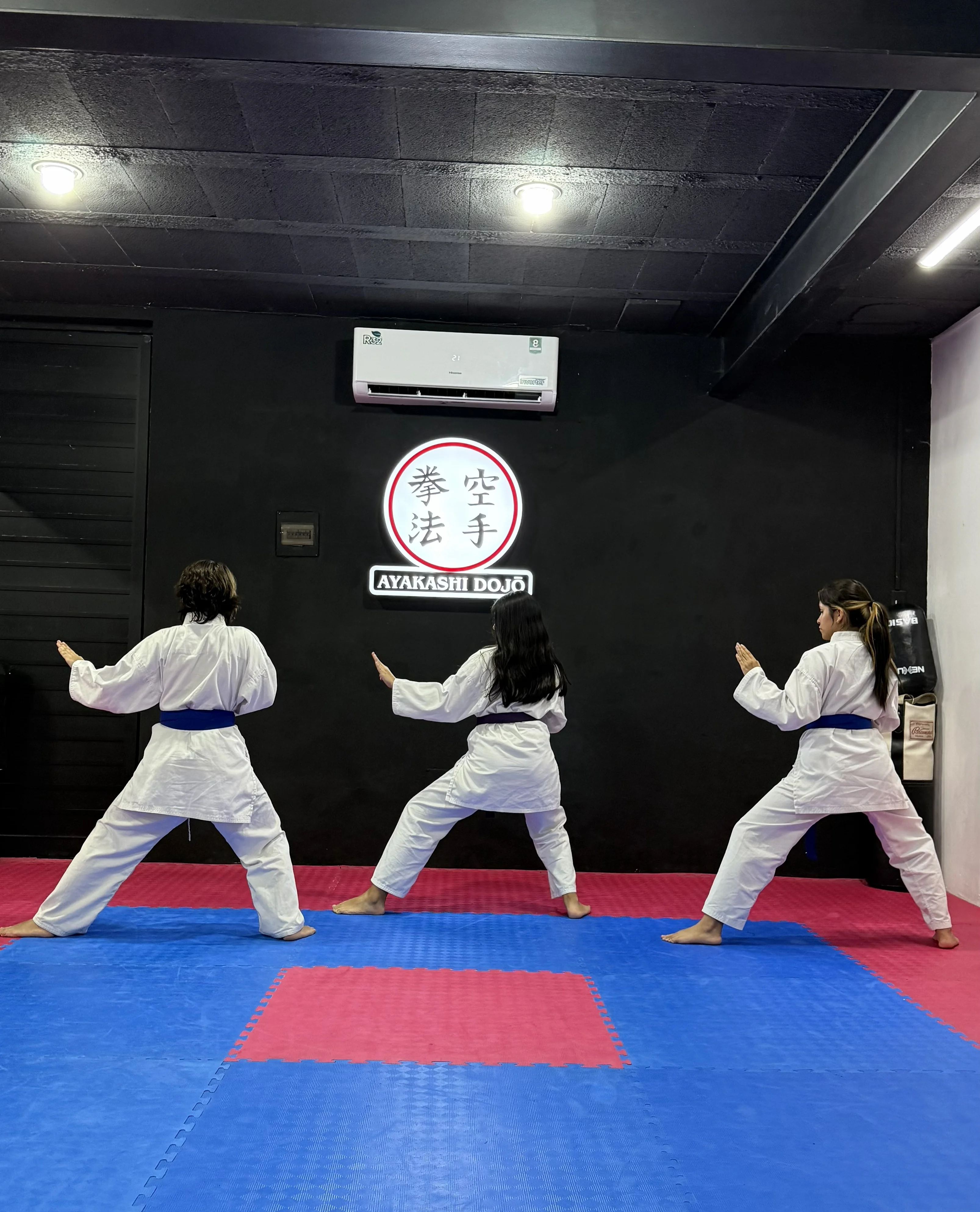 Ayakashi Dojō - Academia en Mérida, Yucatán - Vista 8 de 8 de las instalaciones de la academia