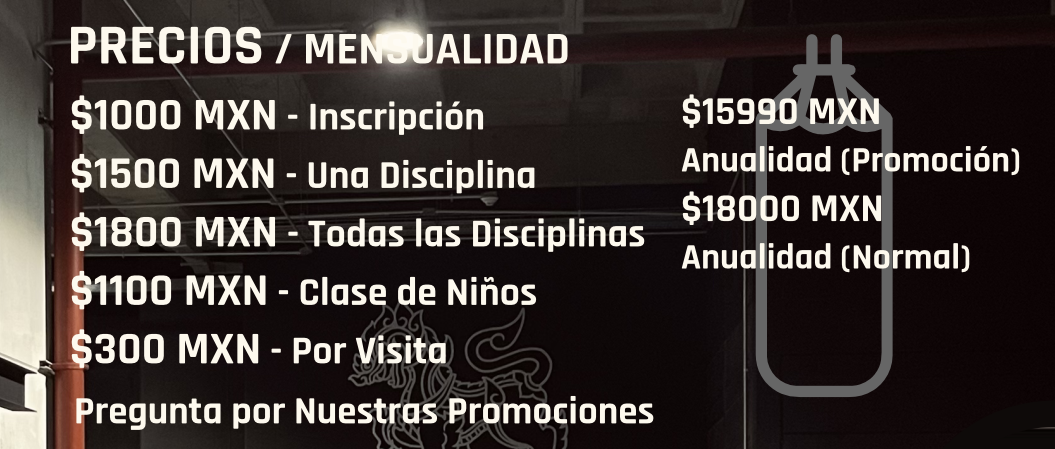 Baan Singto Central - Academia en Zapopan, Jalisco - Vista 4 de 8 de las instalaciones de la academia