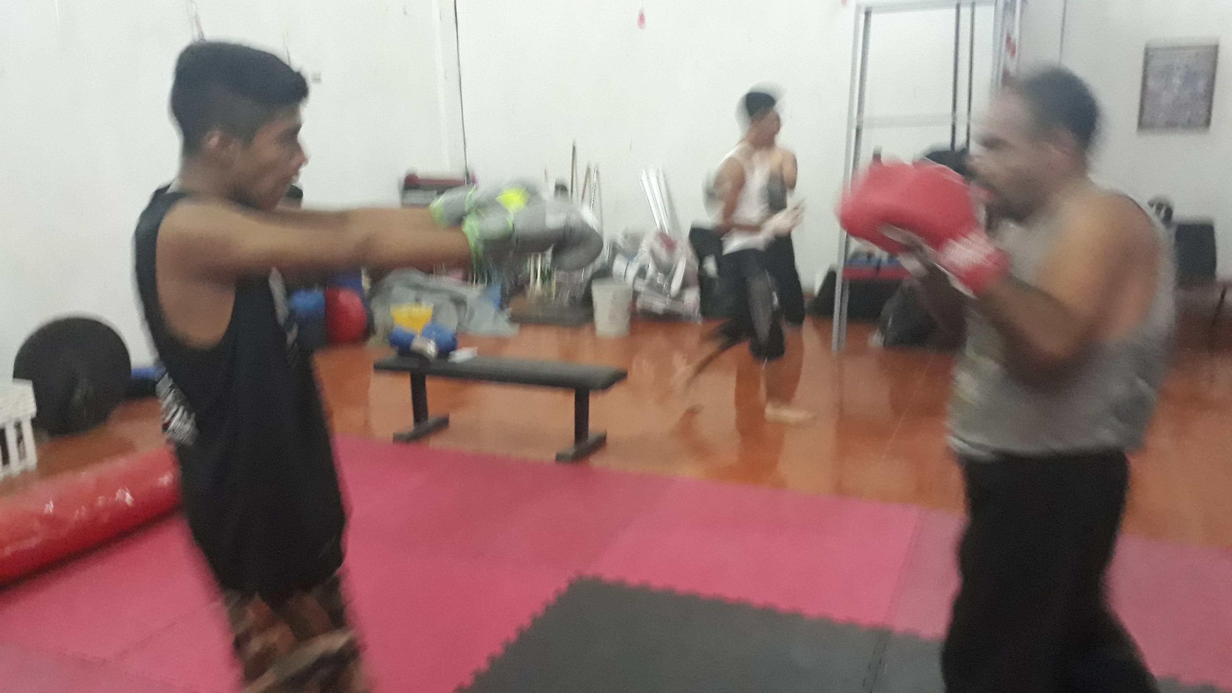 Black Scorpions - Estudio en Celaya, Guanajuato - Vista 4 de 4 de las instalaciones de la academia