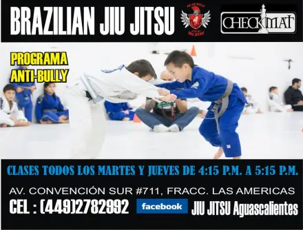 Boitigua Jiu Jitsu (Pe de Bolo Brazilian Jiu Jitsu, filial Aguascalientes) - Academia en Aguascalientes, Aguascalientes - Vista 4 de 5 del perfil