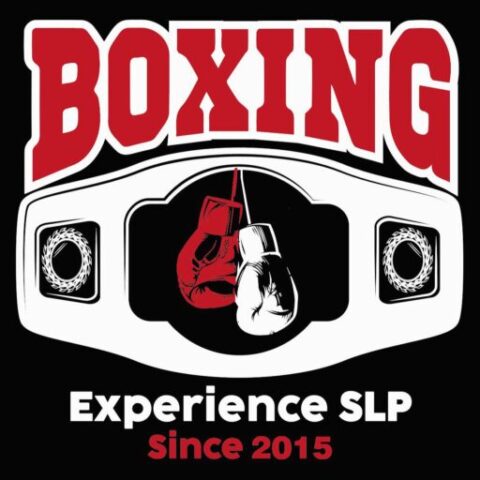 Boxing Experience SLP - Gimnasio especializado en San Luis Potosí, San Luis Potosí - Vista 4 de 8 del perfil