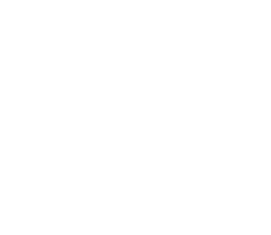 Logo de Brafer Sport