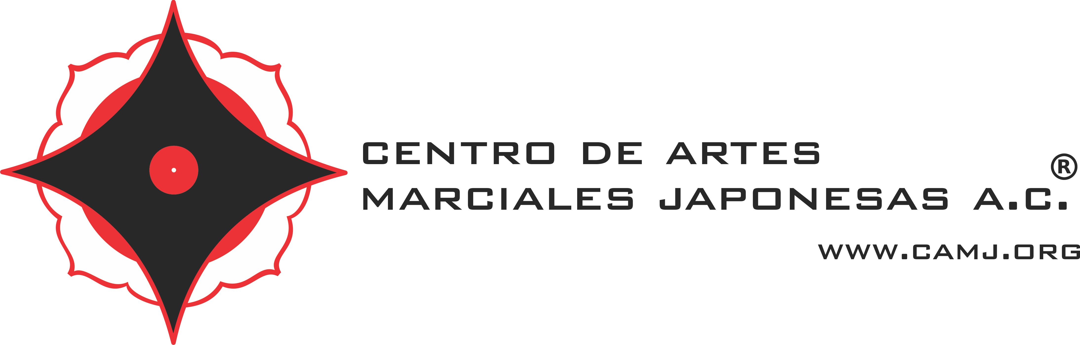CAMJ Veracruz - Centro de Artes Marciales Japonesas - Escuela deportiva en Veracruz, Veracruz - Vista 5 de 6 del perfil