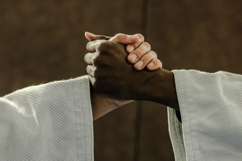 CAMJ Veracruz - Centro de Artes Marciales Japonesas - Escuela deportiva en Veracruz, Veracruz - Vista 6 de 6 del perfil
