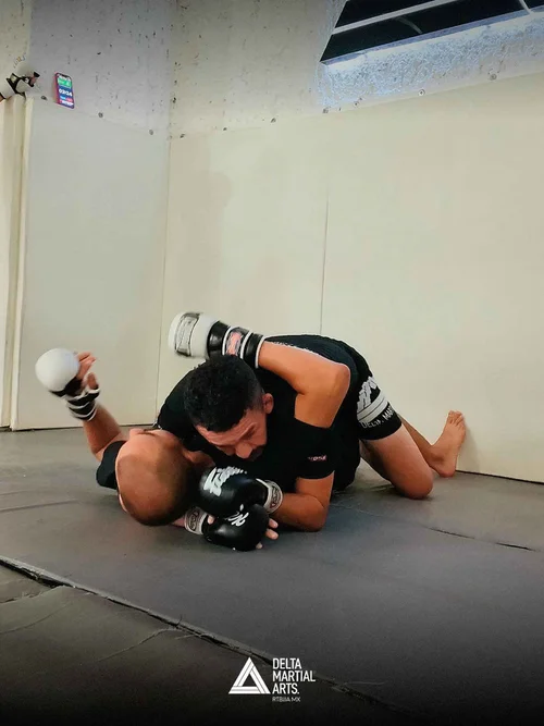 Delta Martial Arts Alcalde - Academia en Guadalajara, Jalisco - Vista 2 de 8 de las instalaciones de la academia