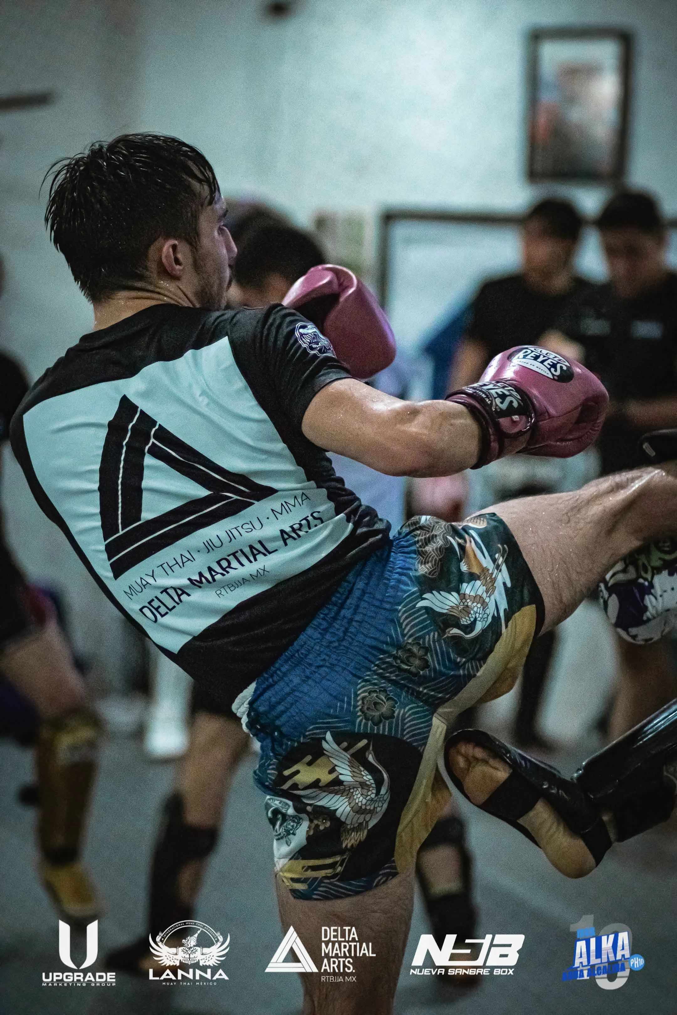 Delta Martial Arts - Academia en Zapopan, Jalisco - Vista 5 de 8 de las instalaciones de la academia