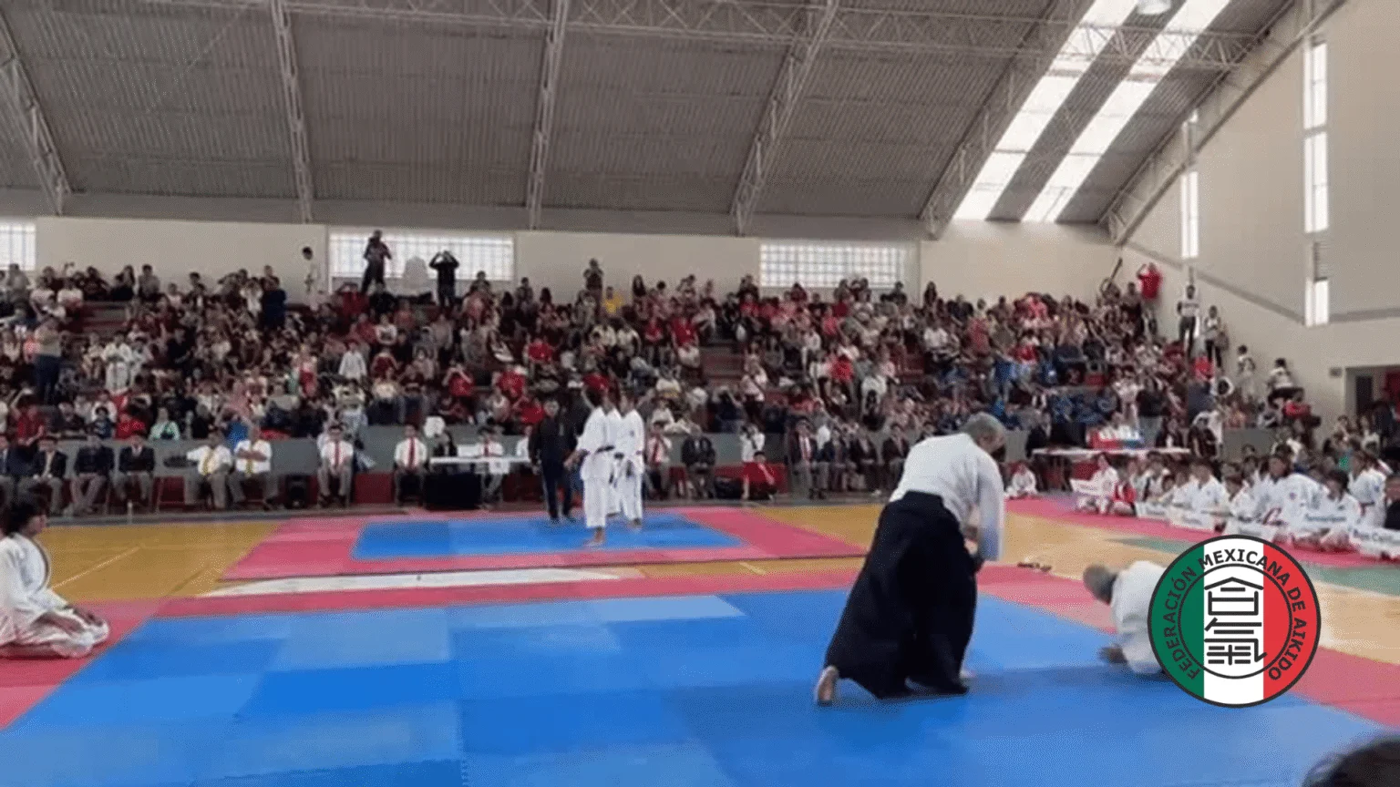 Escuela de Artes Marciales Japonesas Budokan - Escuela deportiva en Veracruz, Veracruz - Vista 6 de 8 del perfil