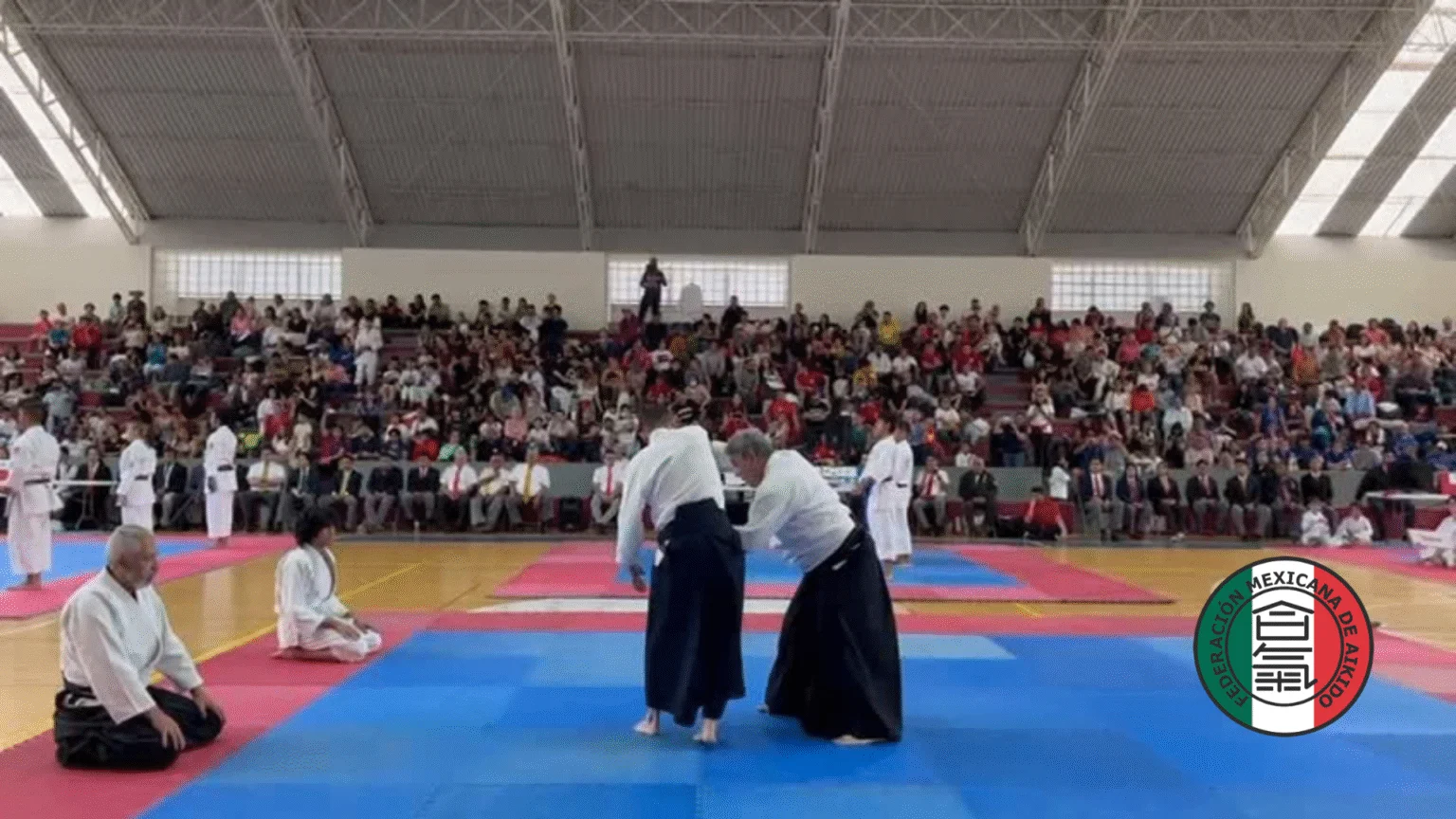 Escuela de Artes Marciales Japonesas Budokan - Escuela deportiva en Veracruz, Veracruz - Vista 7 de 8 del perfil