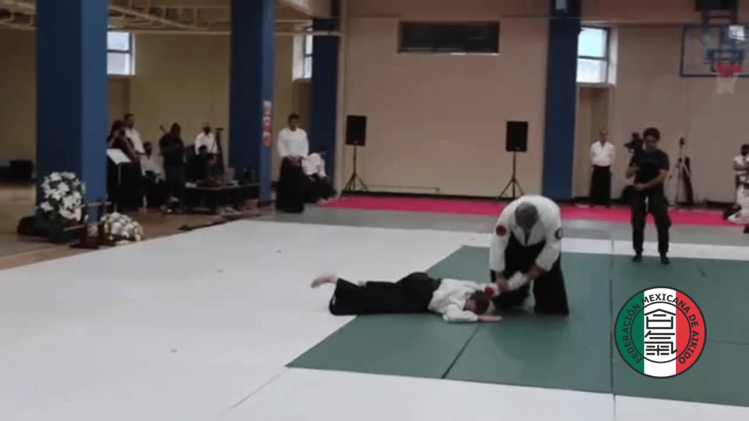 Escuela de Artes Marciales Japonesas Budokan - Escuela deportiva en Veracruz, Veracruz - Vista 8 de 8 del perfil