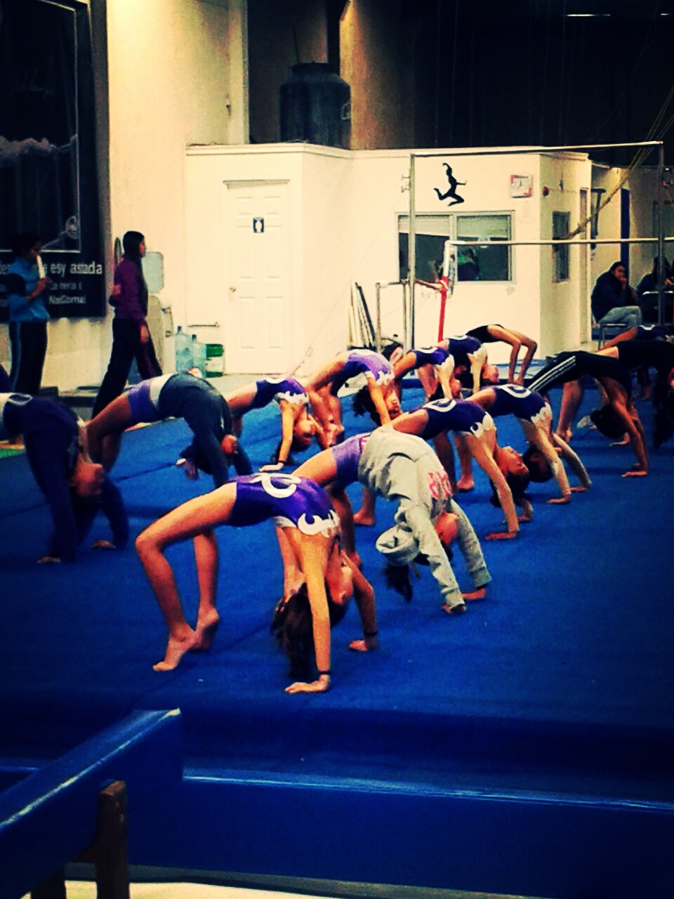 Escuela de Gimnasia KIM - Escuela deportiva en San Luis Potosí, San Luis Potosí - Vista 2 de 5 del perfil