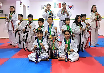 Escuela de Taekwondo INFOMADE - Escuela deportiva en Torreón, Coahuila - Vista 3 de 3 de las instalaciones de la academia