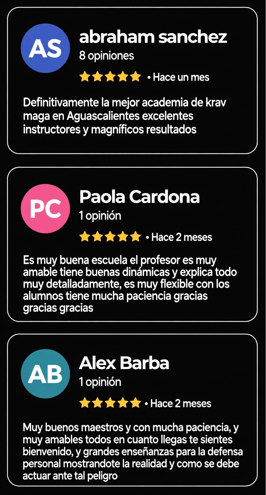 Executive Krav Maga - Escuela deportiva en Aguascalientes, Aguascalientes - Vista 4 de 7 del perfil