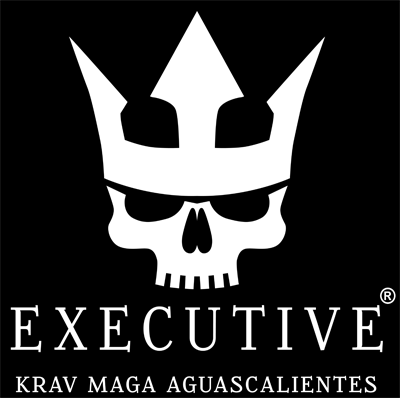 Executive Krav Maga - Escuela deportiva en Aguascalientes, Aguascalientes - Vista 6 de 7 del perfil