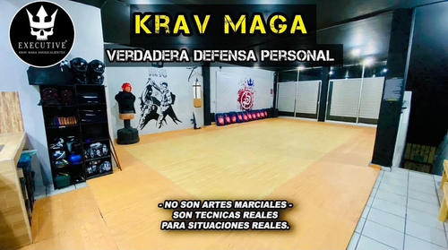 Executive Krav Maga - Escuela deportiva en Aguascalientes, Aguascalientes - Vista 7 de 7 del perfil