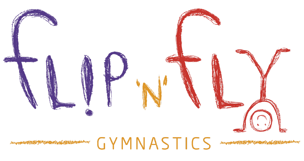 Logo de Flip 'N' Fly