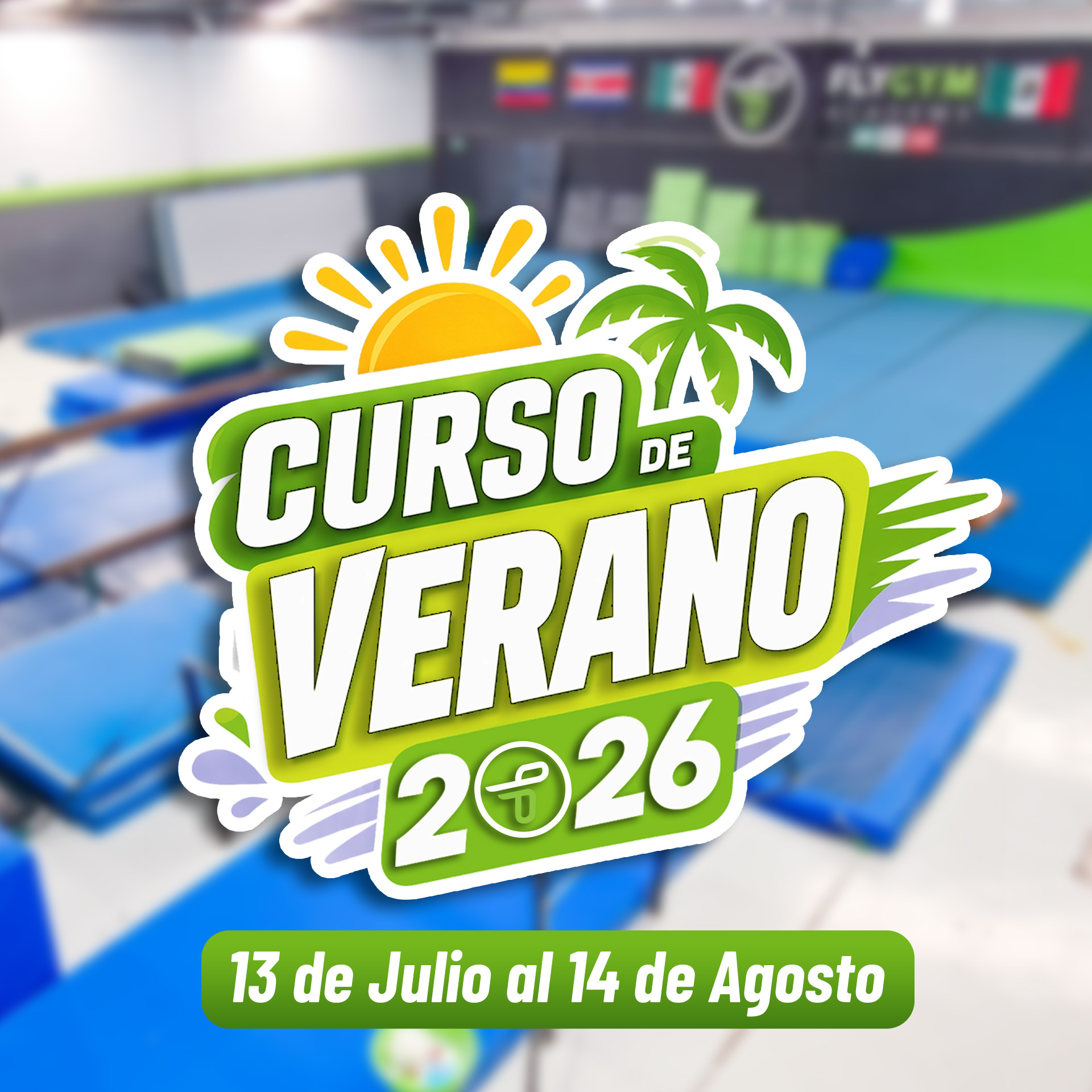 Fly Gym Academy - Academia en Santiago de Querétaro, Querétaro - Vista 4 de 5 de las instalaciones de la academia