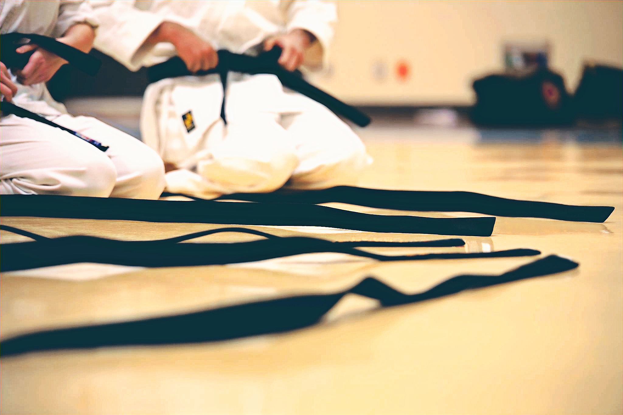 Genki-Juku Karate-Do México (Hombu Dojo - Tetsu Dojo) - Escuela deportiva en Puebla, Puebla - Vista 6 de 8 del perfil