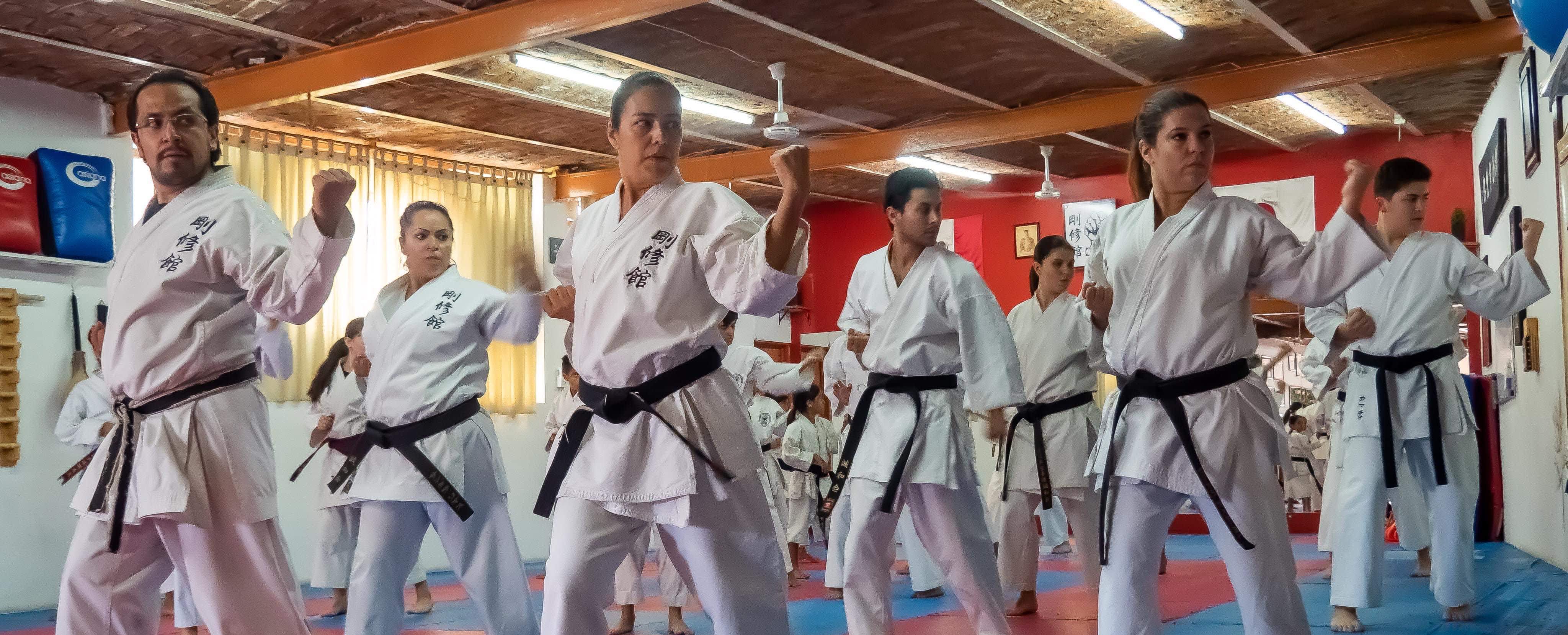 Goshukan Santa Elena - Escuela deportiva en Guadalajara, Jalisco - Vista 3 de 4 de las instalaciones de la academia