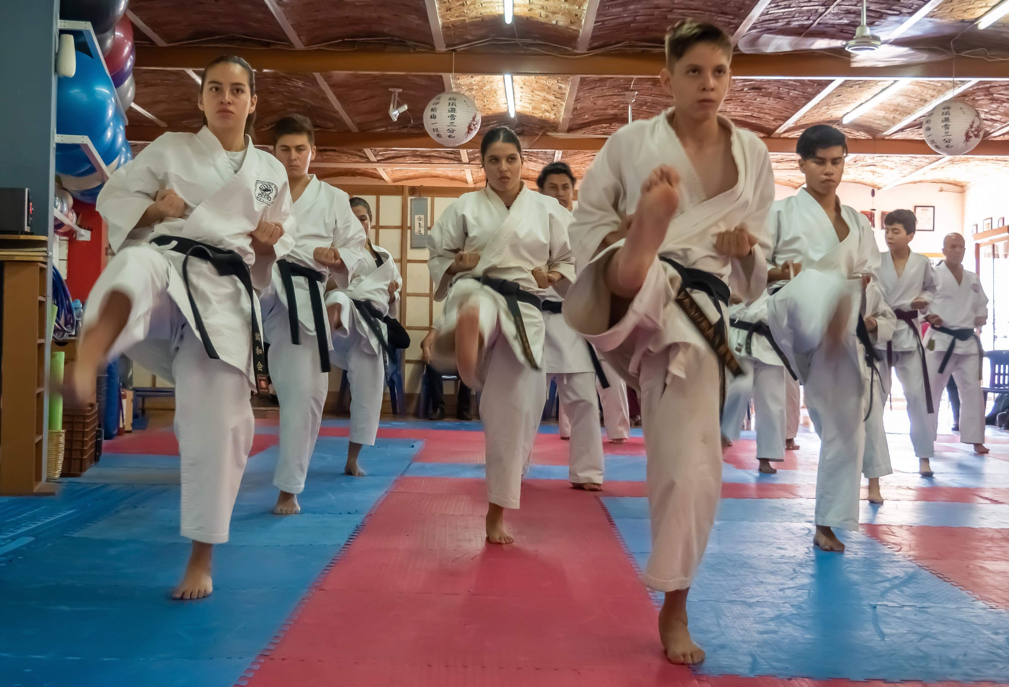 Goshukan Santa Elena - Escuela deportiva en Guadalajara, Jalisco - Vista 4 de 4 de las instalaciones de la academia