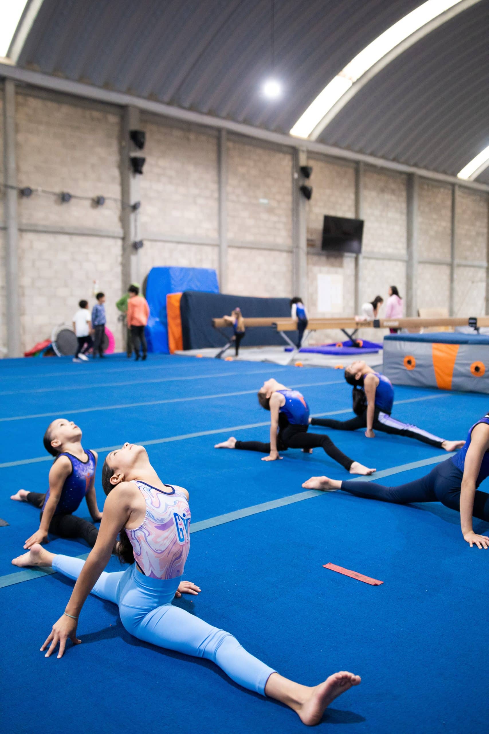 GymnasTwin