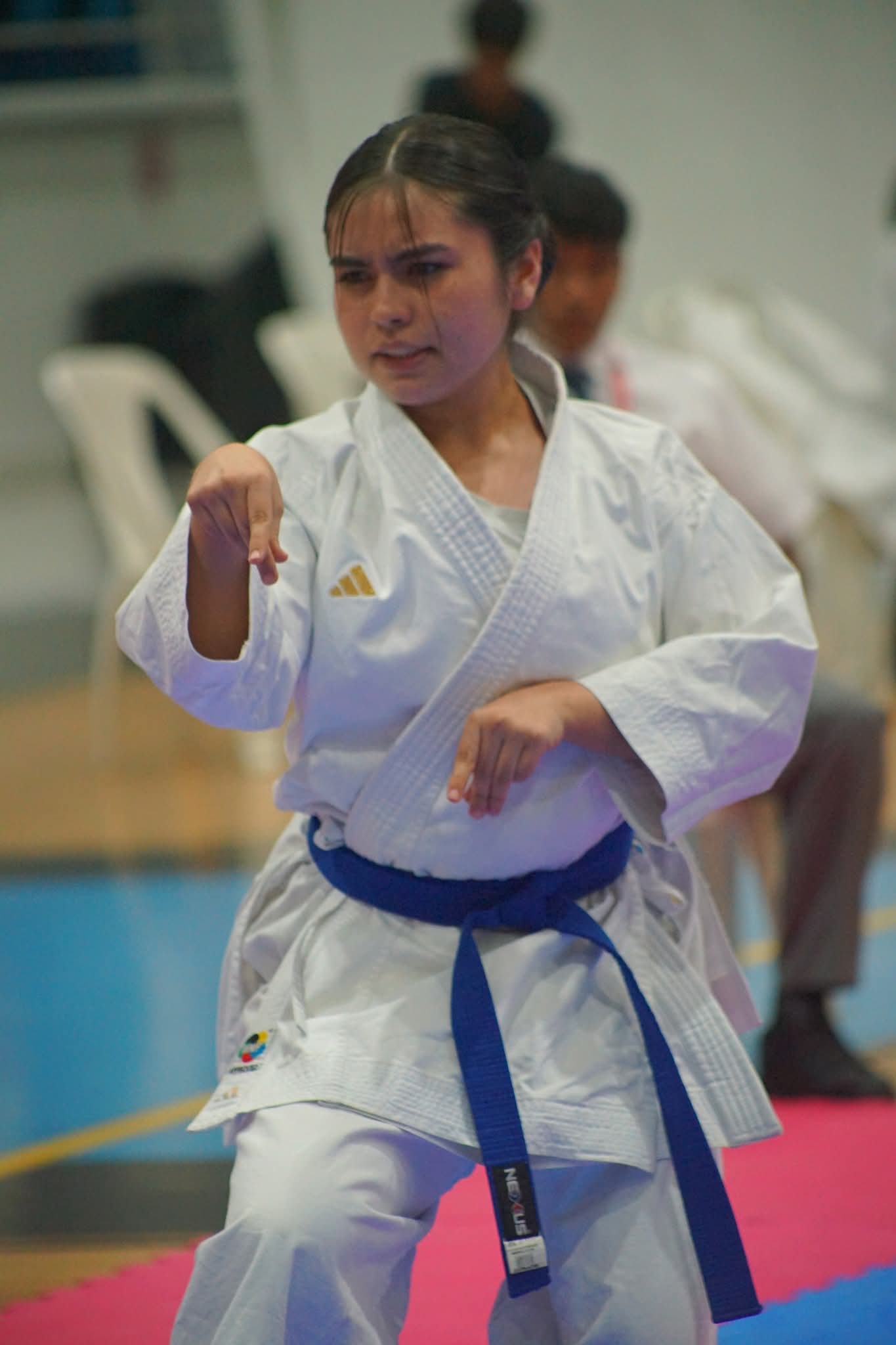 IKC Irazoqui Karate Club - Club deportivo en Los Mochis, Sinaloa - Vista 2 de 3 de las instalaciones de la academia