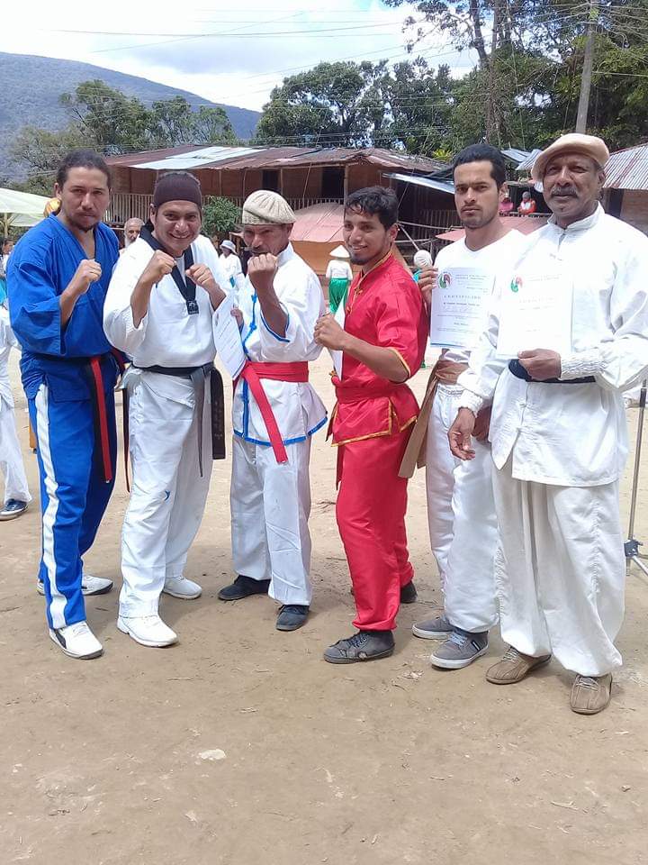 Instituto Marcial Chino - Escuela deportiva en Acapulco, Guerrero - Vista 7 de 8 de las instalaciones de la academia