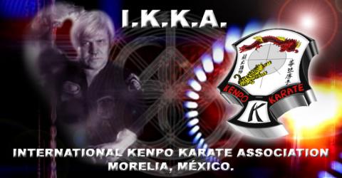 International Kenpo Karate Association Morelia - Escuela deportiva en Morelia, Michoacán - Vista 2 de 3 de las instalaciones de la academia