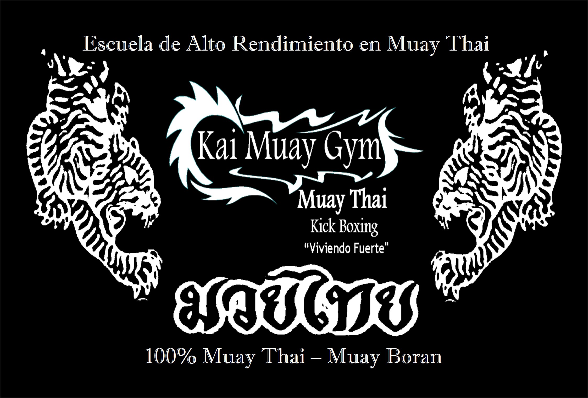 Kai Muay Gym - Gimnasio especializado en Veracruz, Veracruz - Vista 3 de 5 del perfil