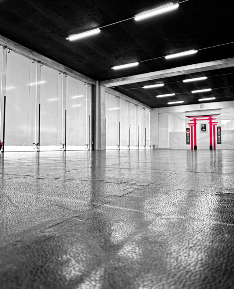 Karate Senshi Zen - Escuela deportiva en Pachuca, Hidalgo - Vista 6 de 8 de las instalaciones de la academia