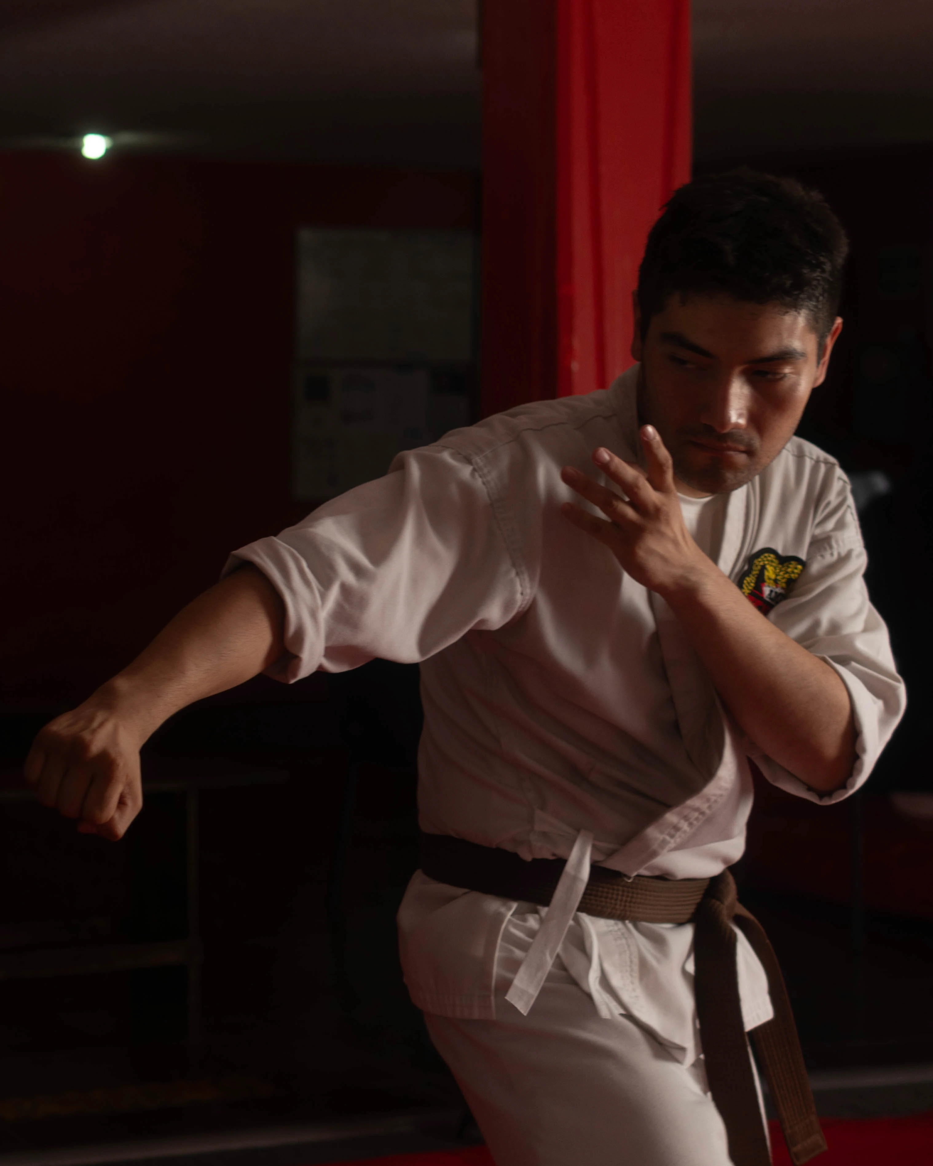Karate Studio Satélite - Estudio en Naucalpan, Estado de México - Vista 4 de 8 de las instalaciones de la academia