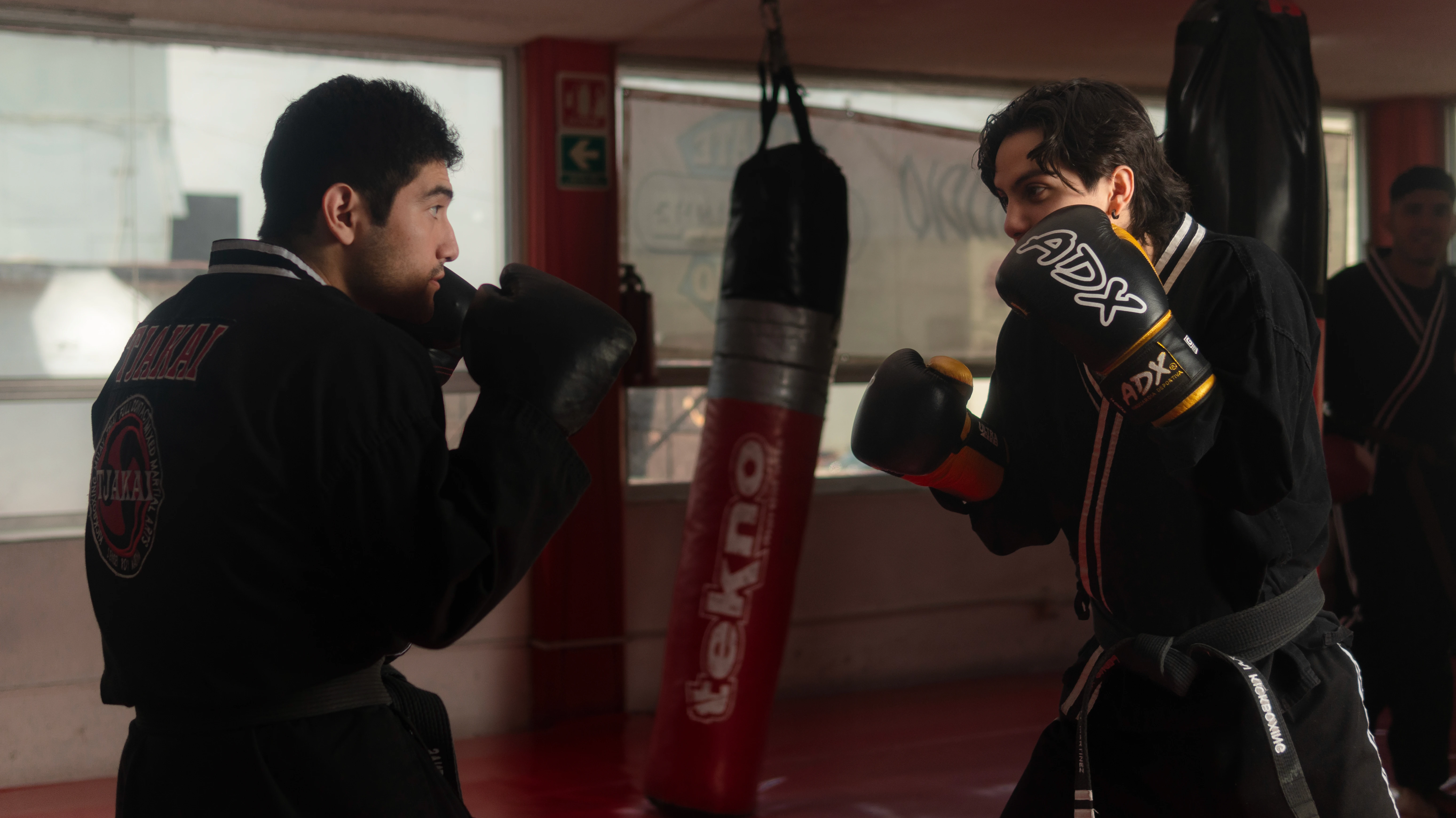 Karate Studio Satélite - Estudio en Naucalpan, Estado de México - Vista 6 de 8 de las instalaciones de la academia