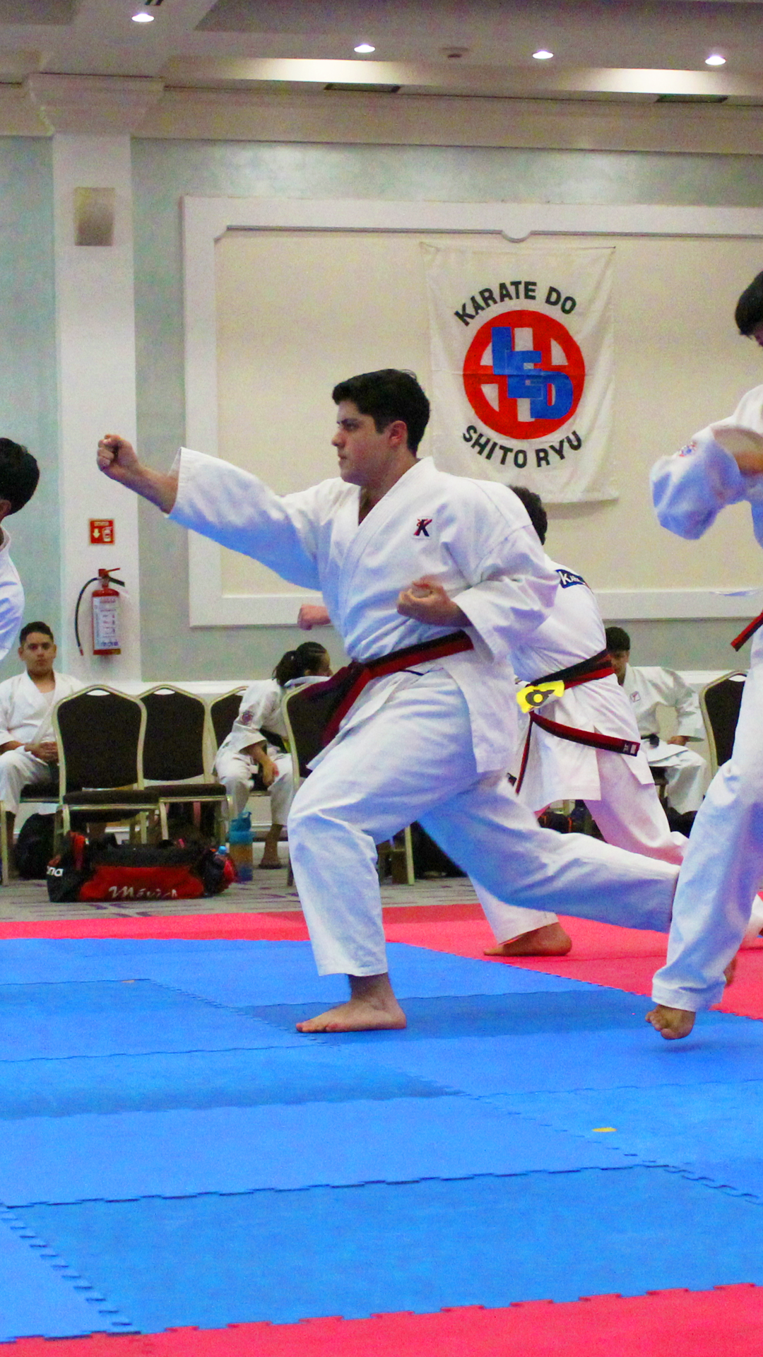 KarateIED Instituto de Educacion Deportiva - Escuela deportiva en Cuernavaca, Morelos - Vista 7 de 8 de las instalaciones de la academia