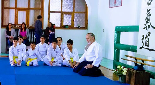 Kurita Juku Aiki - Escuela deportiva en Ciudad de México, Ciudad de México - Vista 7 de 8 del perfil