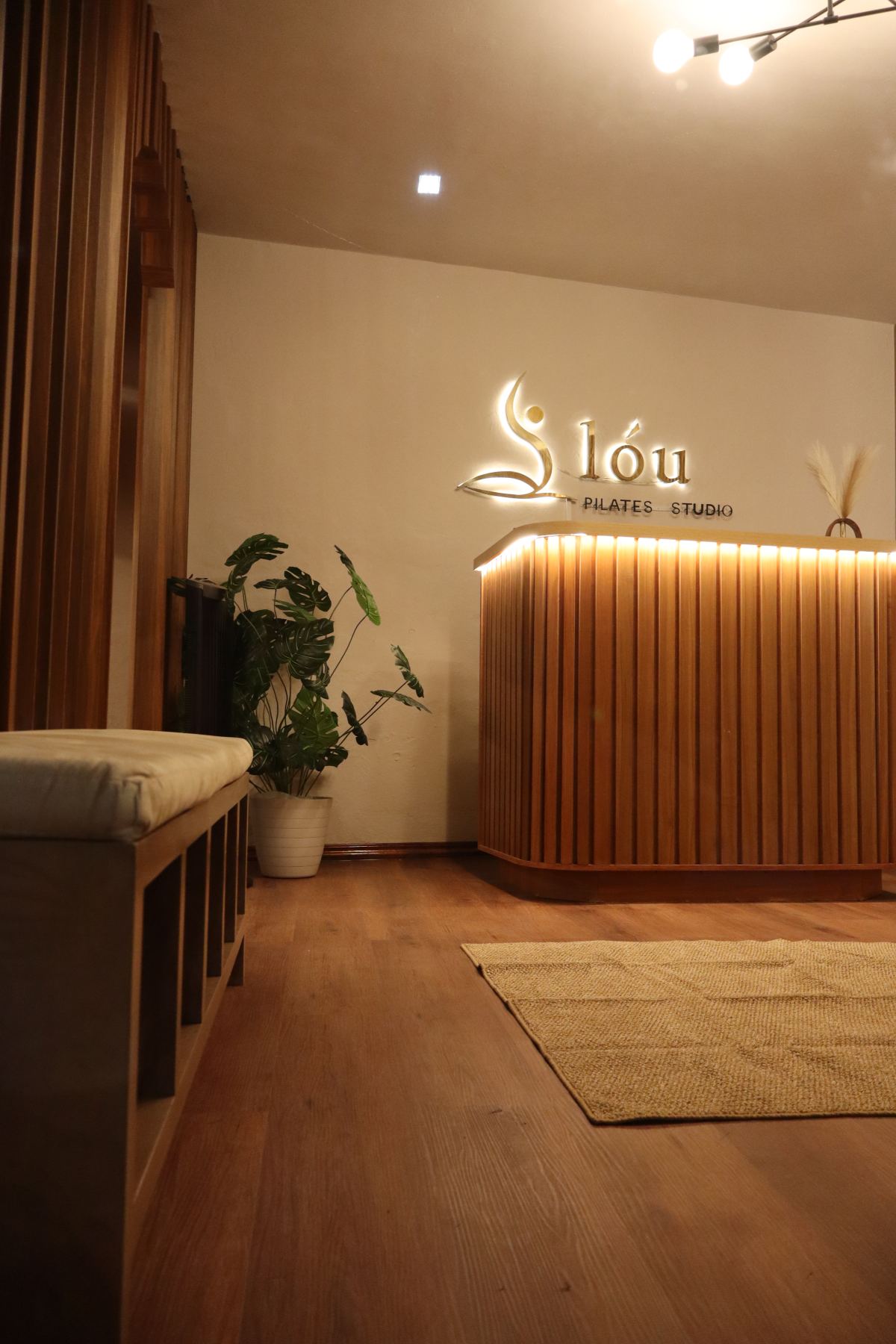 lóu Pilates Studio - Estudio en Tlalnepantla, Estado de México - Vista 2 de 8 de las instalaciones de la academia