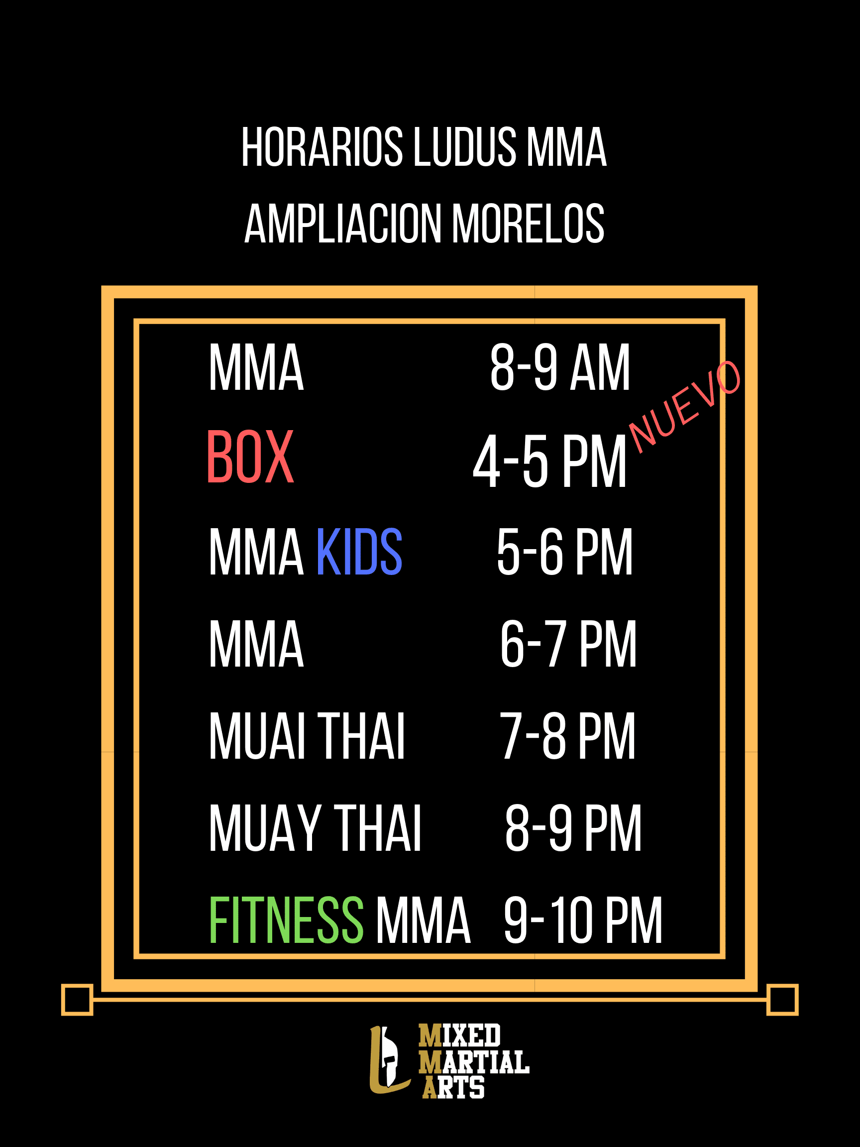 Ludus MMA - Academia en Saltillo, Coahuila - Vista 2 de 5 de las instalaciones de la academia