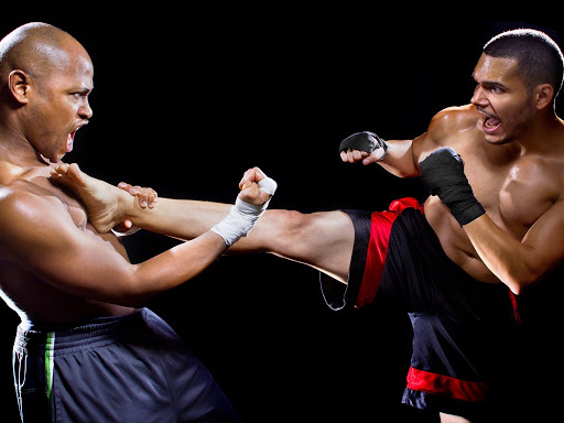 Ludus MMA - Academia en Saltillo, Coahuila - Vista 4 de 5 de las instalaciones de la academia