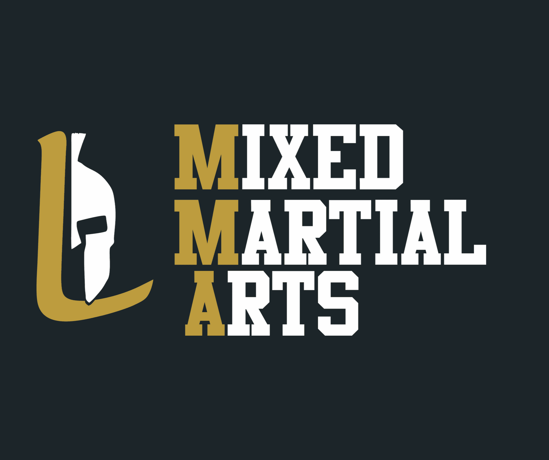 Ludus MMA - Academia en Saltillo, Coahuila - Vista 5 de 5 de las instalaciones de la academia