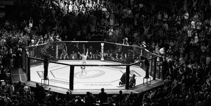 Lutador Artes Marciales - Academia en Torreón, Coahuila - Vista 4 de 4 de las instalaciones de la academia