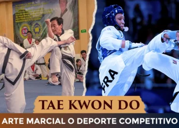 MMW-MDK Centro Águilas Qro - Escuela deportiva en Santiago de Querétaro, Querétaro - Vista 3 de 8 de las instalaciones de la academia