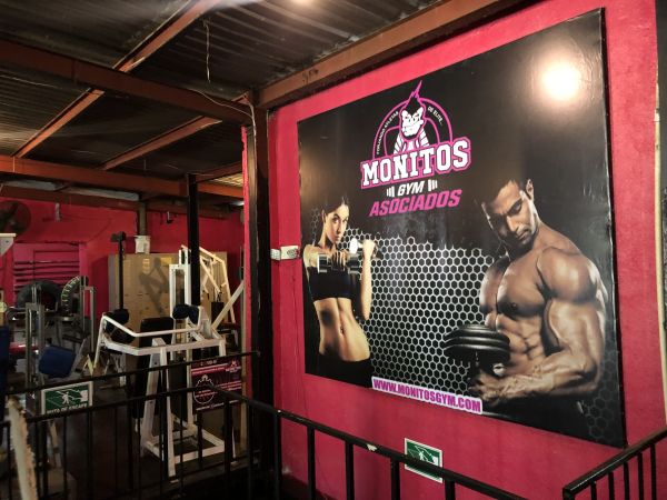 Monitos Gym - Gimnasio especializado en Tecate, Baja California - Vista 6 de 8 del perfil