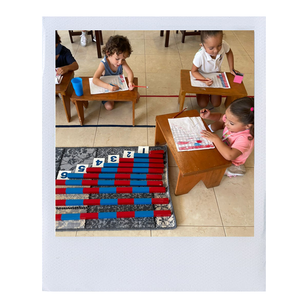 Montessori School Acapulco - Centro Acuatico - Centro acuático en Acapulco, Guerrero - Vista 7 de 8 de las instalaciones de la academia