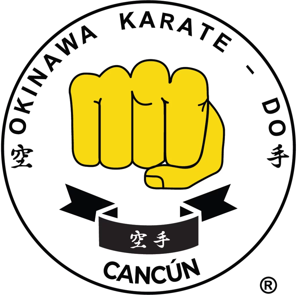 Okinawa Karate Do Toluca - Escuela deportiva en Toluca, Estado de México - Vista 3 de 8 de las instalaciones de la academia