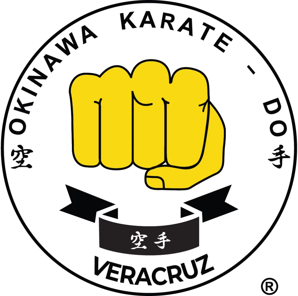 Okinawa Karate Do Toluca - Escuela deportiva en Toluca, Estado de México - Vista 4 de 8 de las instalaciones de la academia