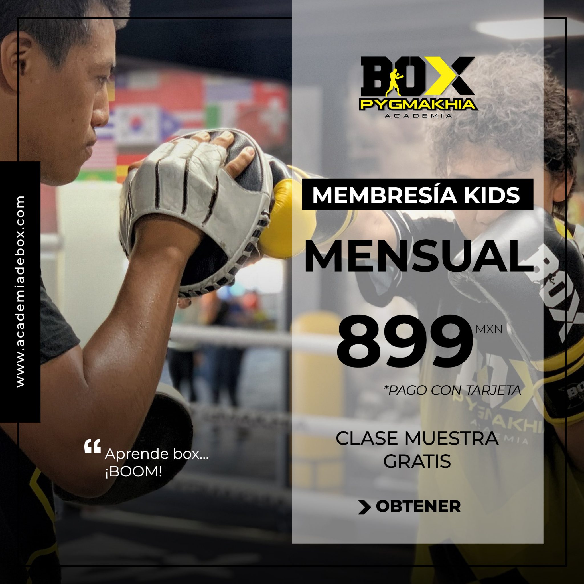 Pygmakhia Academia de Box - Academia en Cancún, Quintana Roo - Vista 3 de 8 de las instalaciones de la academia