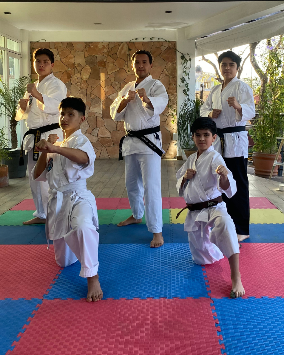 Sato Kai Karate Do - Escuela deportiva en Tlalnepantla, Estado de México - Vista 2 de 8 de las instalaciones de la academia